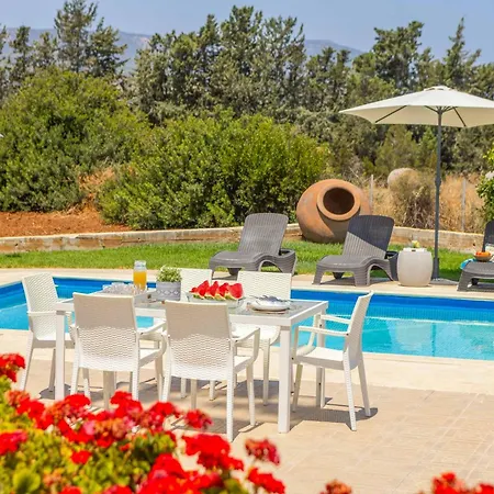 Alexia Cyprus Латхи